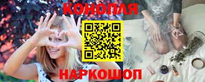 Альфа ПВП Новодвинск