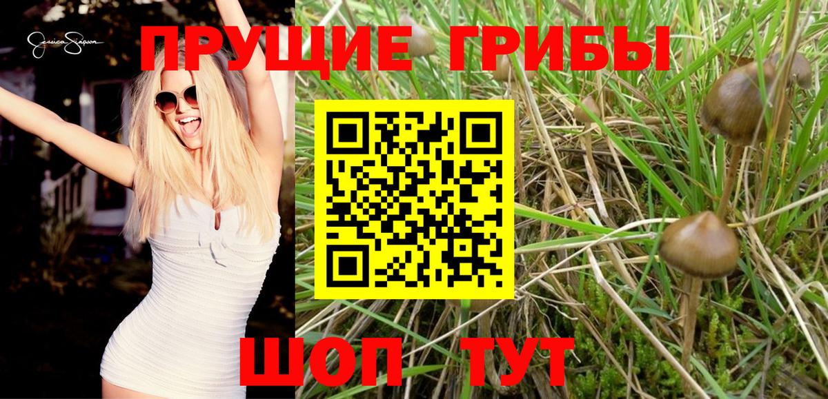 Псилоцибиновые грибы Psilocybine cubensis  Вход с VPN  Галлюциногенные грибы мицелий  Пыть-Ях 